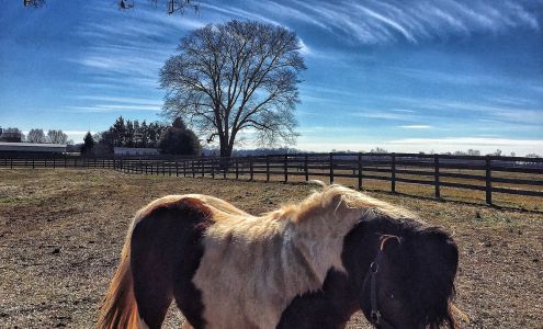 Rigbie Farm Inc Darlington