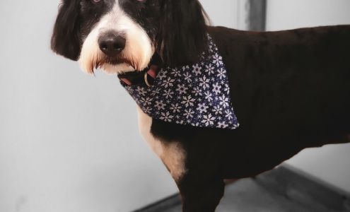 Country Acres Farm White Hall