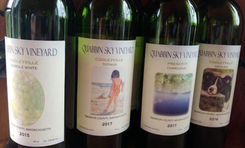 Quabbin Sky Vineyard New Salem