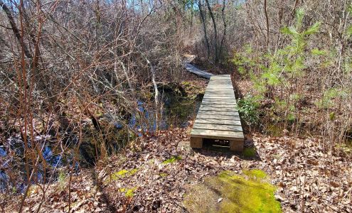 River Bend Conservation Area East Falmouth