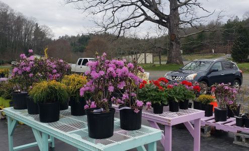 Cline Church Nursery Fleetwood