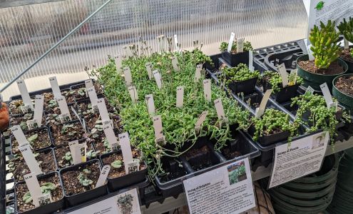 Shelburne Farm & Garden Shelburne Falls