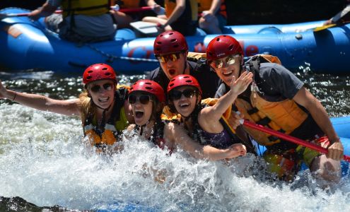 Crab Apple Whitewater Massachusetts Charlemont