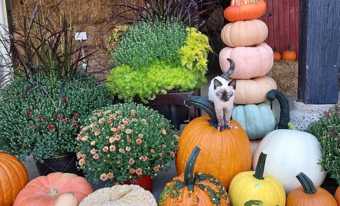 Whispering Pines Greenhouse Mertztown