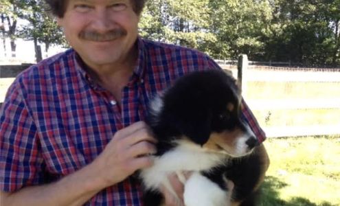 Bliss Pond Veterinary Services North Brookfield