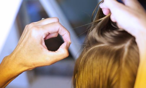 The Picky One Head Lice Removal Service of Cape Cod Brewster