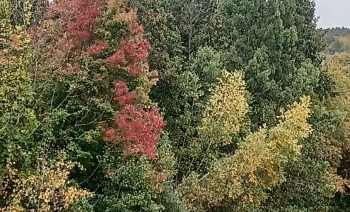 North Brookfield Sportsmen's North Brookfield