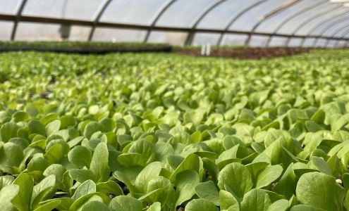 Heavens Harvest Farm New Braintree