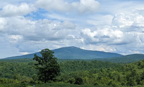 Monadnock Berries Troy
