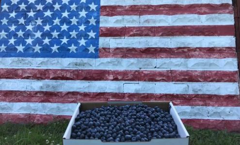 Reenders Blueberry Farms West Olive