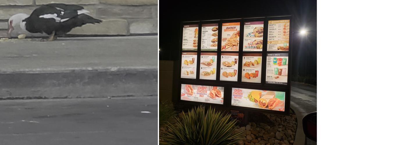 Taco Bell Menu