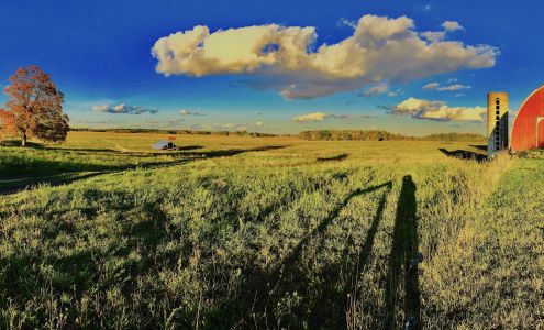 Vraé Foods/GCC Organics