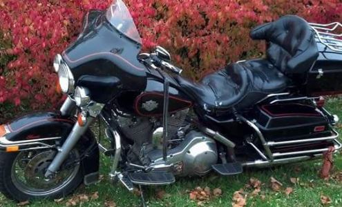 Shelton Farms Berrien Center