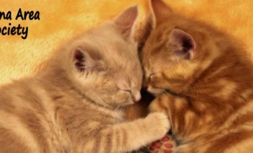 Winona Area Humane Society