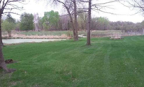 Four Dog Stove Saint Francis