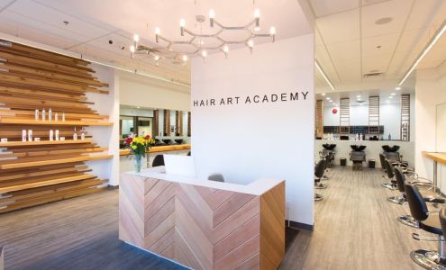 The Hair Art Academy Ltd