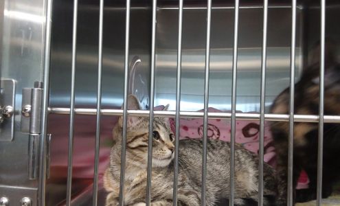 Humane Society of Otter Tail County