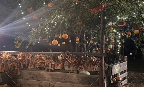 The Pumpkin Patch - Carlisle Gardens