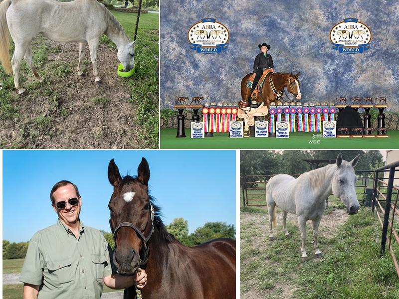 Wagner Horse Doc LLC