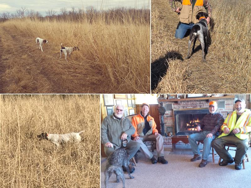 Baiers Den Kennels & Shooting