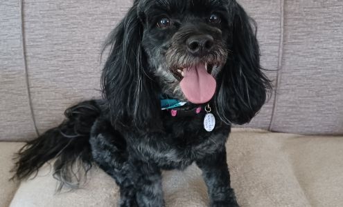 Becky's Bubbles & Bows 3385 S Washington Ave, Sedalia Missouri 65301