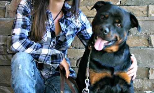 Real Results Canine