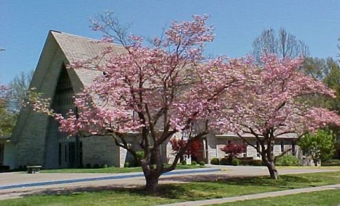 Westminster Presbyterian Church