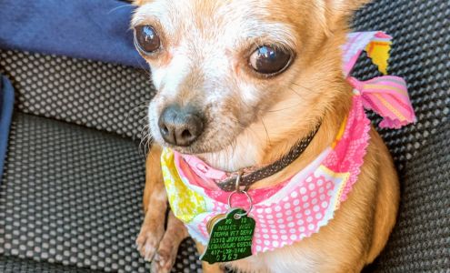 Shaggy Shears 1110 Millcreek Rd, Lebanon Missouri 65536