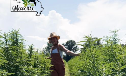 South Point Hemp & CBD