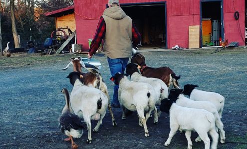 Rookie's Gamble Farm