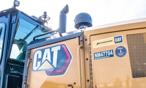 Peterson Cat Fortuna