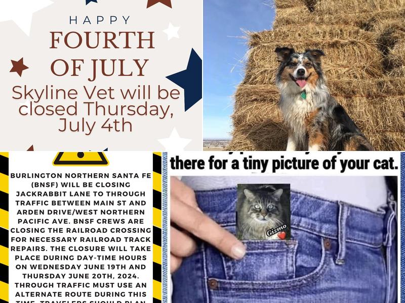 Skyline Veterinary Hospital (Formerly Sorensen Small Animal Hospital)