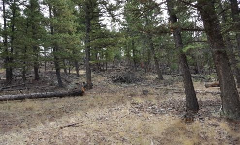 Fabulous Flue Chimney Sweep Clancy
