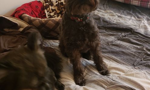 In the Dog House 3706 E Old Hwy 12, East Helena Montana 59635