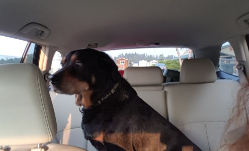 A Pet Boarding Retreat (PBR Kennels)