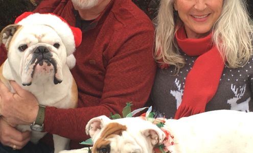 HOBBY HILL ENGLISH BULLDOGS