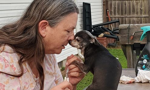 Jazzy Dog Grooming 3342 S Pipestone Rd, Sodus Michigan 49126