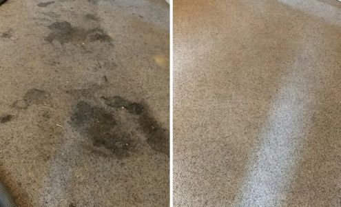 Renew Carpet Cleaners