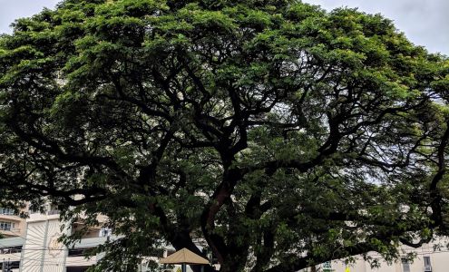 Olivet Baptist Preschool