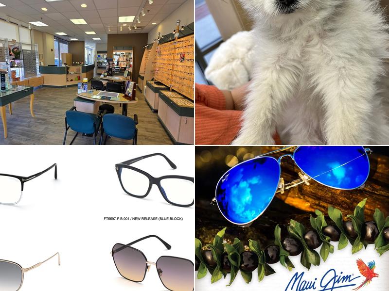 Optometry - Dr. Michael J. Bermel and Associates, PC