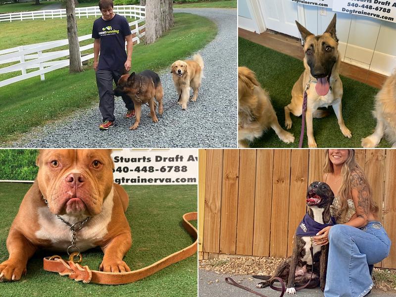 Auburn Leach K9 Academy