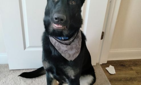 Nordhausen Elite K-9 238 Fauberitaville Ln, Greenville Virginia 24440