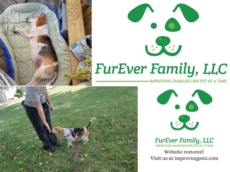 FurEver Family, LLC