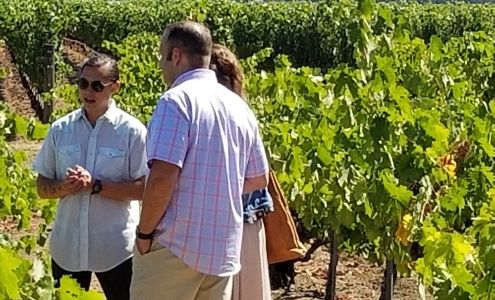 Napa Valley Chauffeur