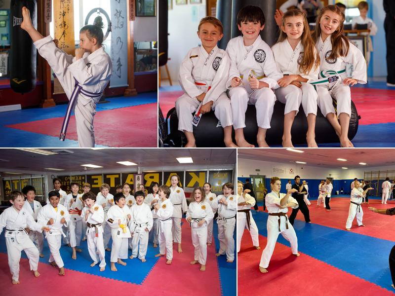 Polander Academy of Martial Arts