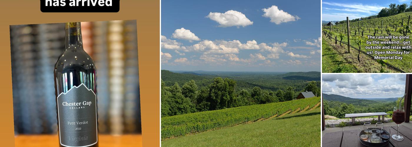 Chester Gap Cellars
