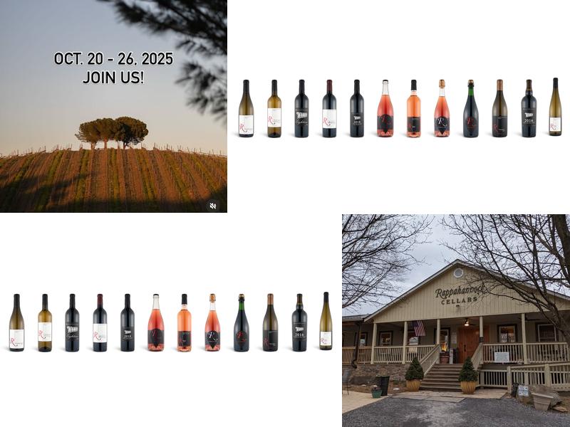 Rappahannock Cellars