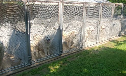 Willow Run Kennels 4332 Fiery Run Rd, Linden Virginia 22642