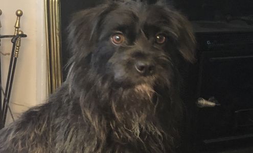 Rockingham Humane Society