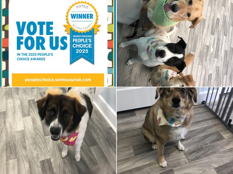 The House of Paws Salon & Spa